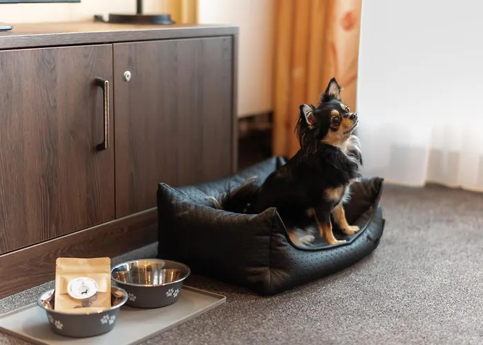 Modernes Mit Blick Zur Frauenkirche شقة *