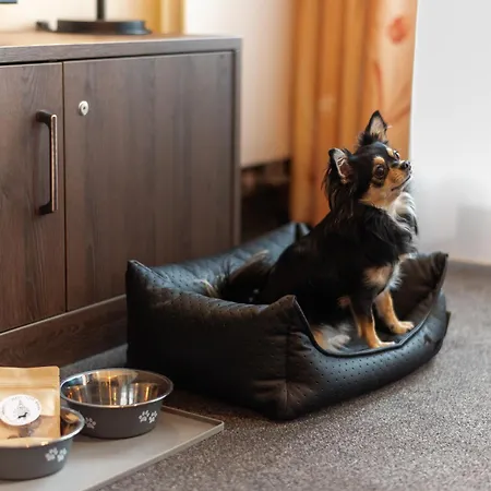 Modernes Mit Blick Zur Frauenkirche Апартаменты *